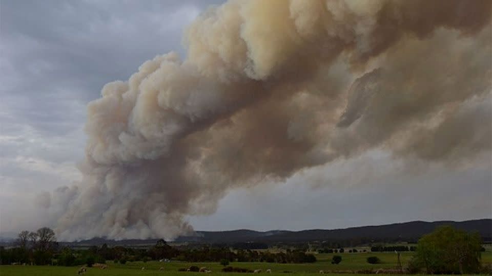 Homes at Calder Park in Melbourne's north west also came under threat from a fast moving grass fire, thought to have been deliberately lit. Photo: AAP