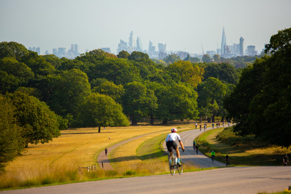 wildlife in Richmond Park, deers, birds, London Skyline