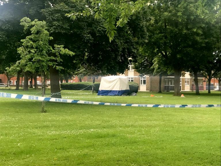 Plumstead and Wandsworth murders: Man, 18, stabbed to death minutes before second teen, 19, shot dead in two daylight attacks in south London