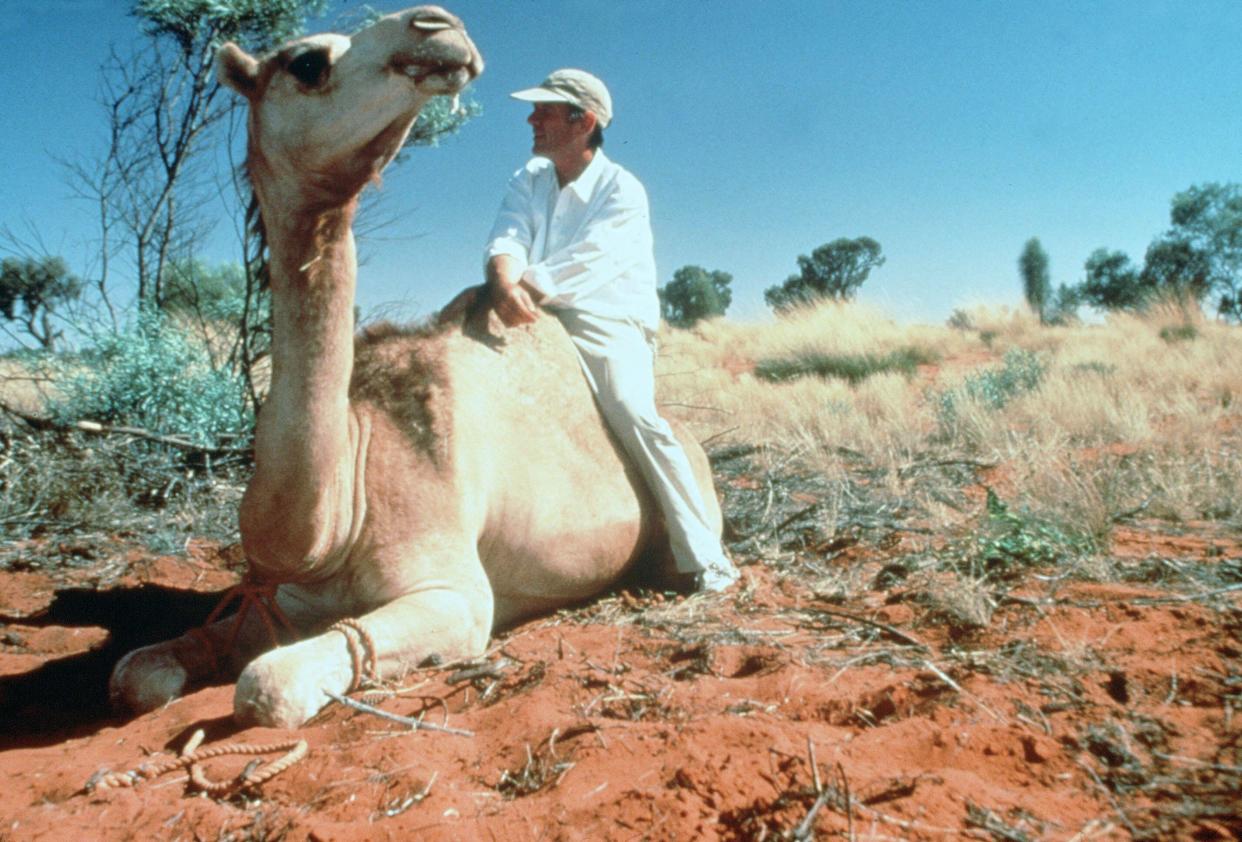 Michael Palin on a camel in the 1997 show Full Circle