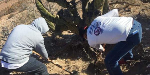 80 cuerpos han sido encontrados en Tijuana este 2022: Colectivo “Todos somos Erick Carrillo”