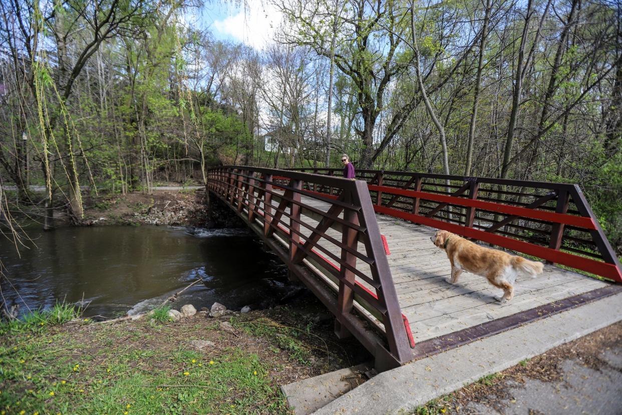 The lower Rouge River near Ford Field park in Dearborn on Friday, April 19, 2024. A new study grades Southeast Michigan's five rivers and their watersheds: Detroit, Rouge, Clinton, Huron and Raisin. The study says flooding is a big problem for the region, as are contamination from fertilizer and pesticides in runoffs, and bacterial contamination from sewer overflows. Bacterial contamination results in beach closures, fertilizer runoff can contribute to algae blooms. The grades also measure bird diversity, recreation and access to beaches, infrastructure, cloudiness of the water, etc.