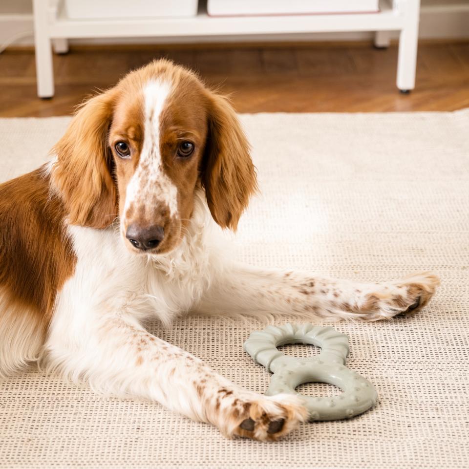 IKEA UTSÅDD dog toy with a dog next to it