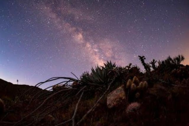 Timelapse in dessert