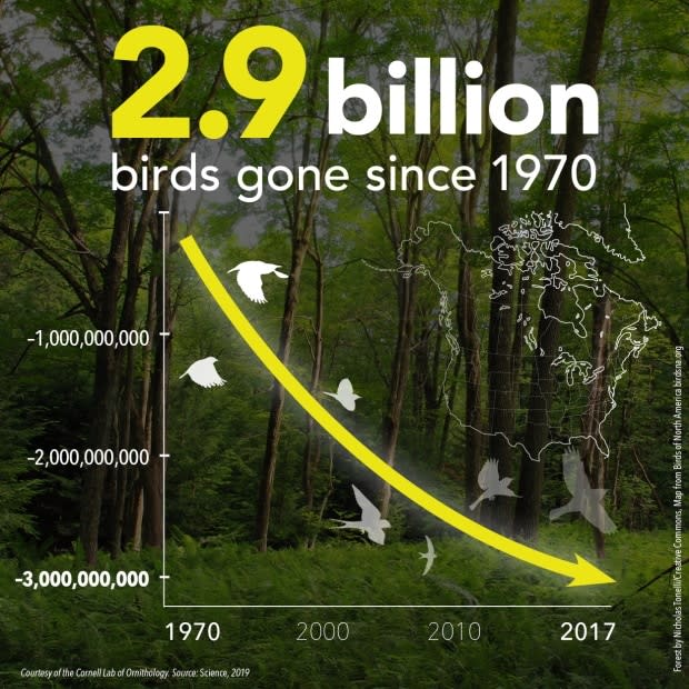 Cornell Lab of Ornithology