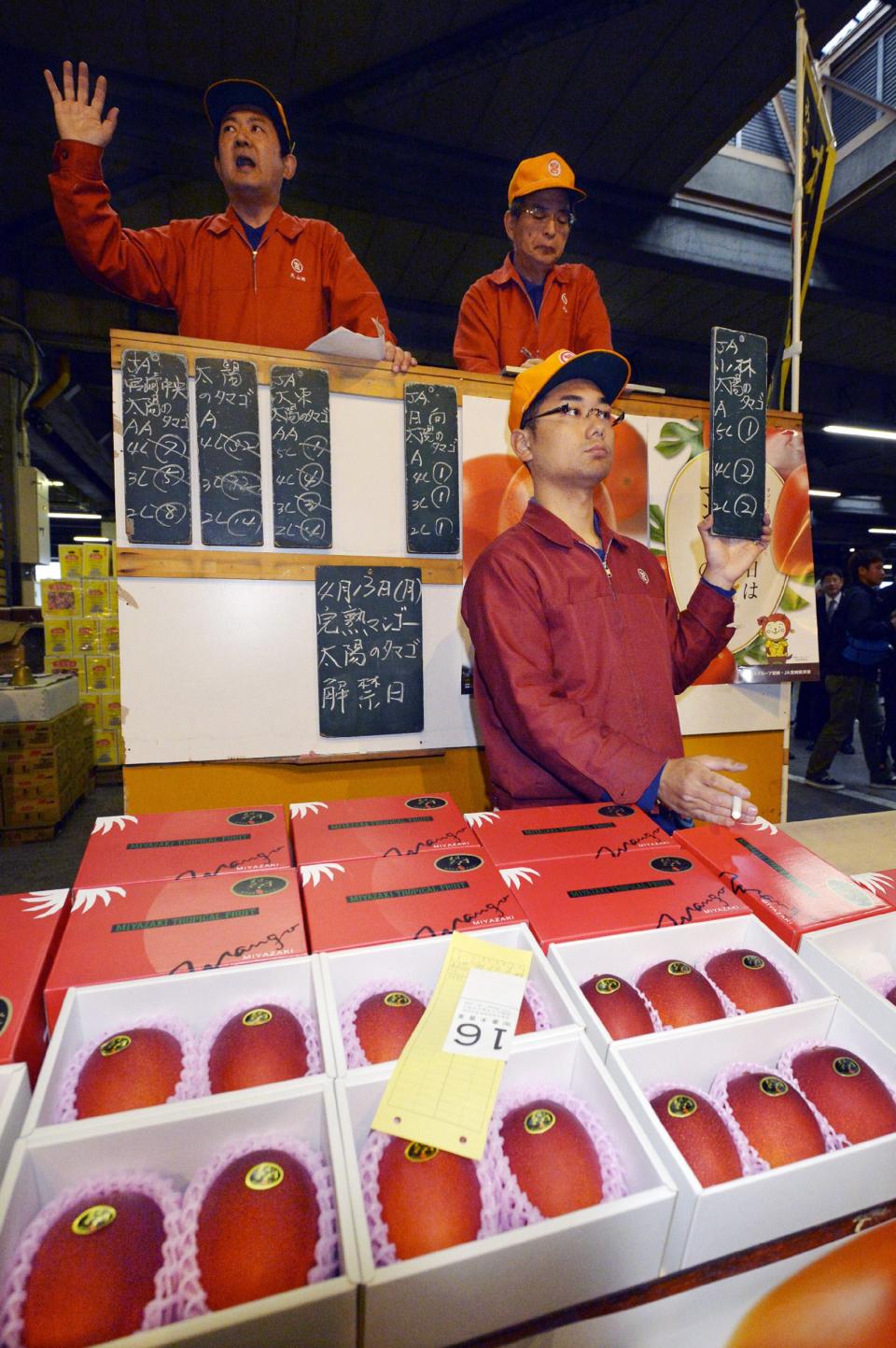 A pair of mangos is auctioned off at the wholesale market in Miyazaki in Japan's southern island of Kyushu for some 300,000 yen (2,500 USD) on April 13, 2015.  The high-priced mangoes, called 