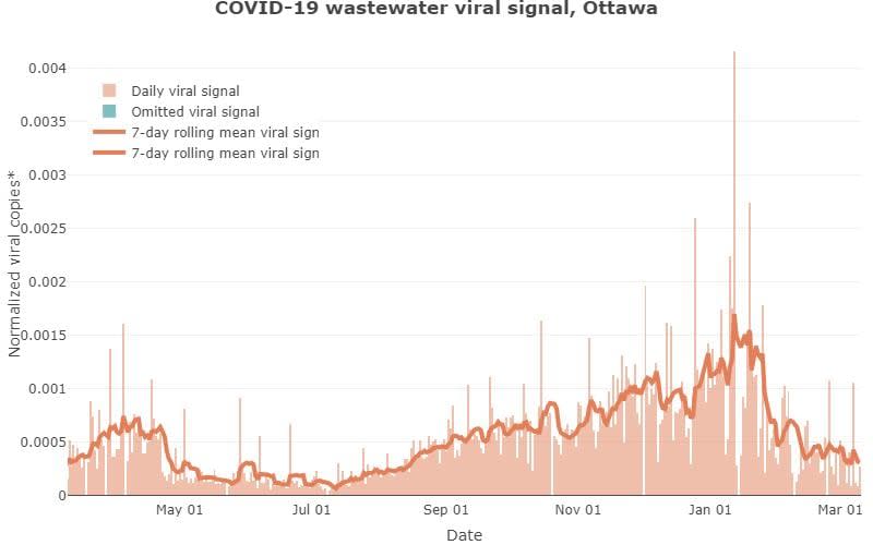 Researchers have measured and shared the amount of novel coronavirus in Ottawa's wastewater since June 2020. This is the data for the last year.