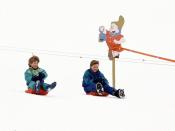 <p> Sledding on those cheap plastic circle sleds we all loved. </p>