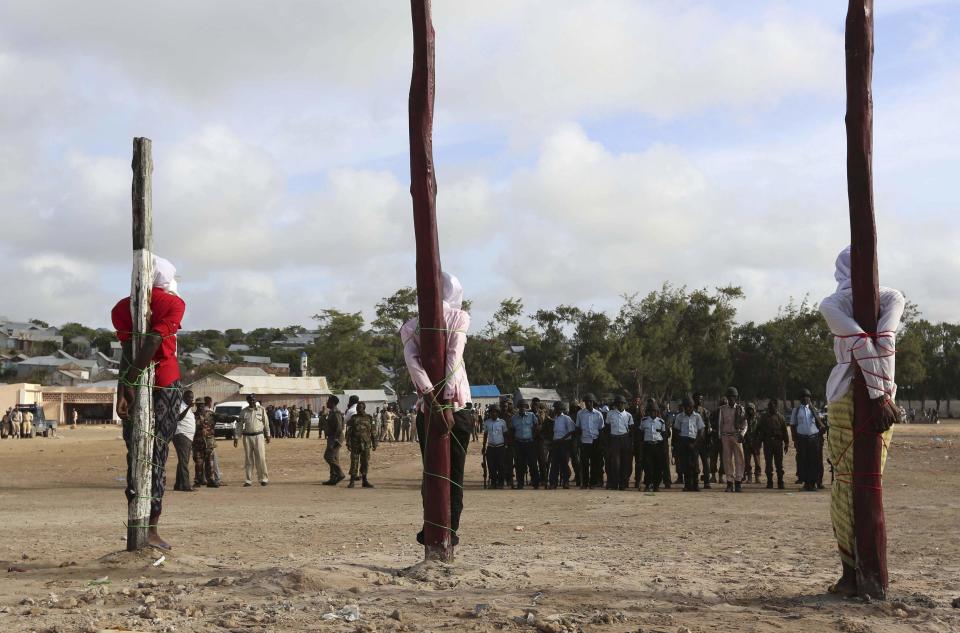 Pictures of the year (Preselection)