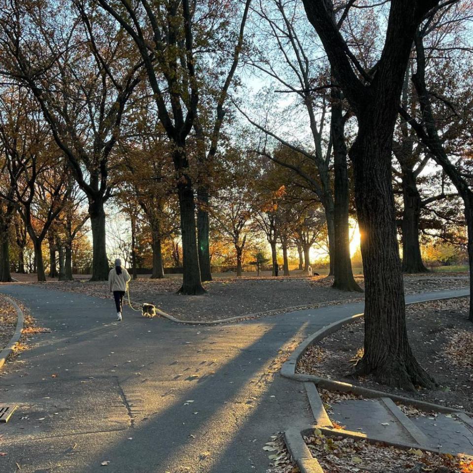 Mount Prospect Park is a popular spot in Brooklyn. Instagram