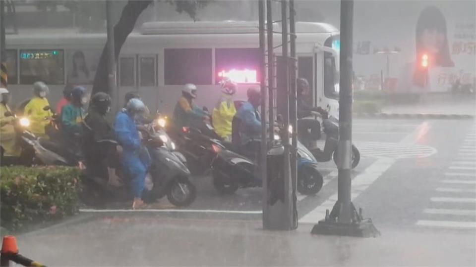 大雨狂炸高雄！　路樹倒塌連根拔起橫躺在車道