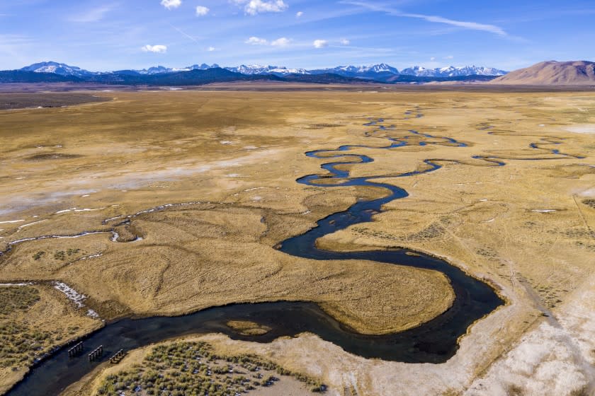 MAMMOTH LAKES, CA - JANUARY 13: The Owens River flows through wetlands and pastures near Benton Crossing on Wednesday, Jan. 13, 2021 in Mammoth Lakes, CA. For seven decades, LADWP has provided free allotments of water for irrigation purposes in the area and now they want to send the water south to Los Angeles instead. (Brian van der Brug / Los Angeles Times)