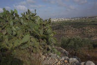 Palestinian hikers approach the Deir Qalaa, "Monastery of the Castle," the remains of a Byzantine monastery, over looking the West Bank village of Deir Ballout, background, west of Salfit, Friday, June. 11, 2021. A growing number of Palestinians are taking up hiking, which offers a way to explore the countryside and historical landmarks in the Israeli-occupied West Bank. (AP Photo/Nasser Nasser)