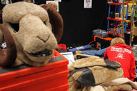 A member of the Cheshire High School robotics team enjoys a quiet moment with his robot in the pit area.