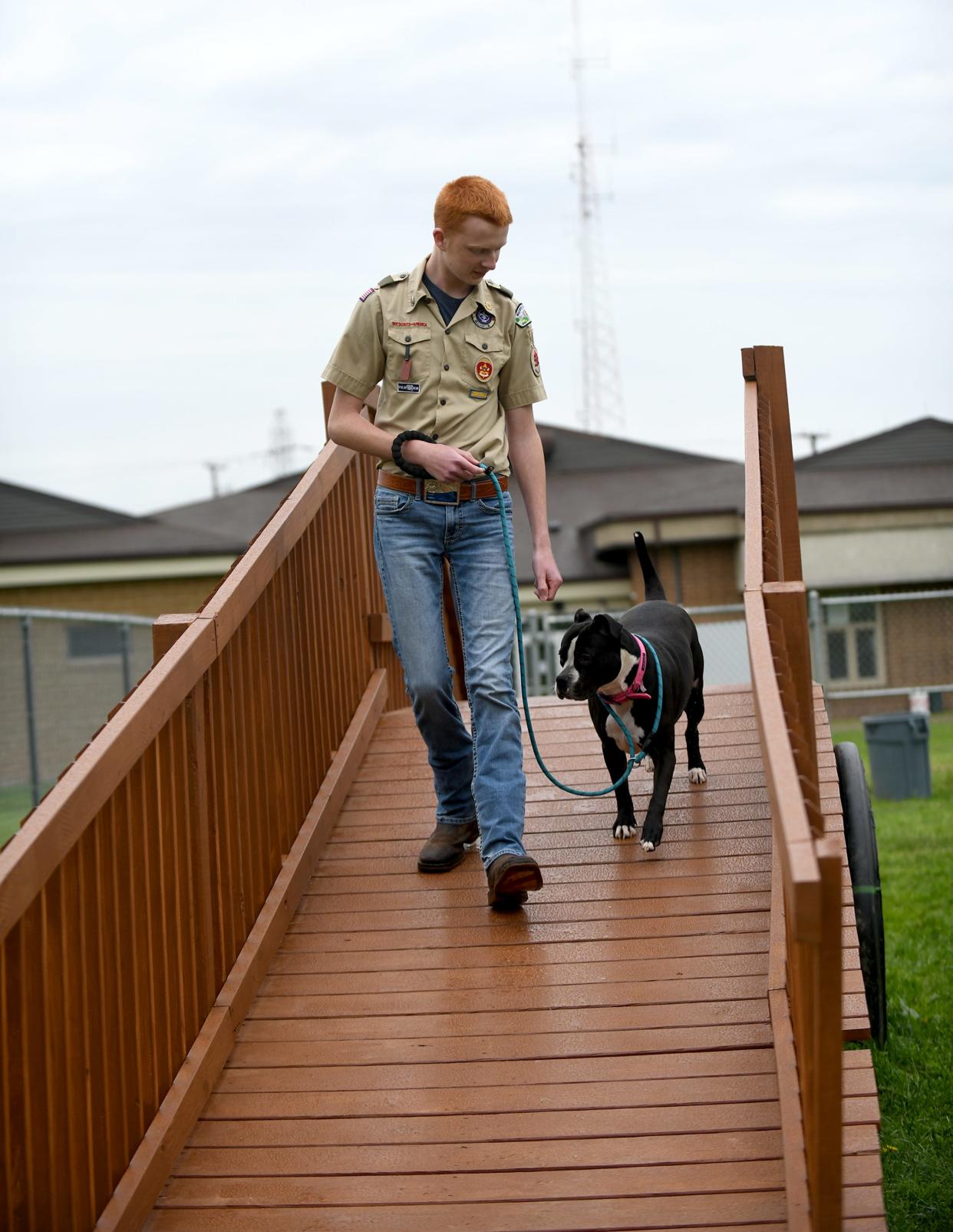 GlenOak sophomore Jacob Price, shown with rescue dog Baby Girl, has spent the last two years planning, designing and building a dog agility course for the Stark County Humane Society for his Eagle Scout project.