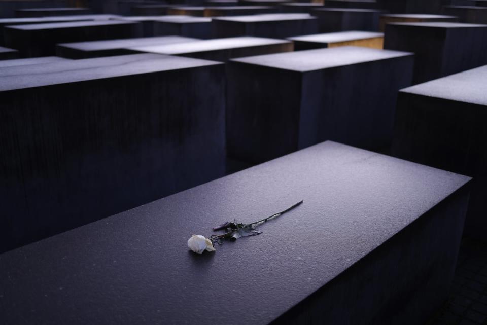 A white rose lies among stelae at the Memorial to the Murdered Jews of Europe, also called the Holocaust Memorial, on the eve of International Holocaust Remembrance Day on January 26, 2024 in Berlin, Germany. Tomorrow will be the 79th anniversary of the liberation of the Auschwitz concentration camp, the biggest of the many concentration camps used by the Nazis during World War II to enslave and exterminate millions of Jews, political opponents, Roma and other Nazi-deemed undesirables.