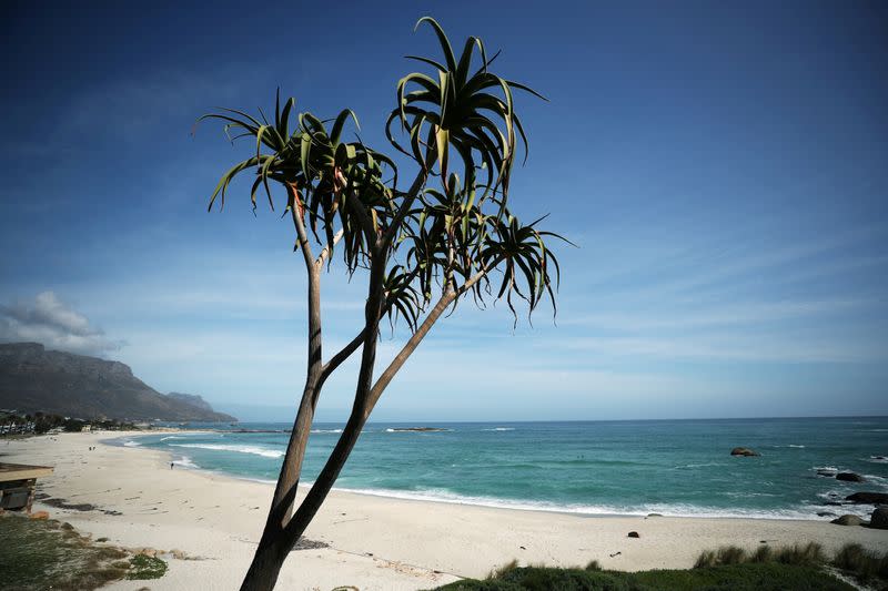 FILE PHOTO: An aloe stands over Camps Bay beach, normally popular with foreign tourists, in Cape Town,