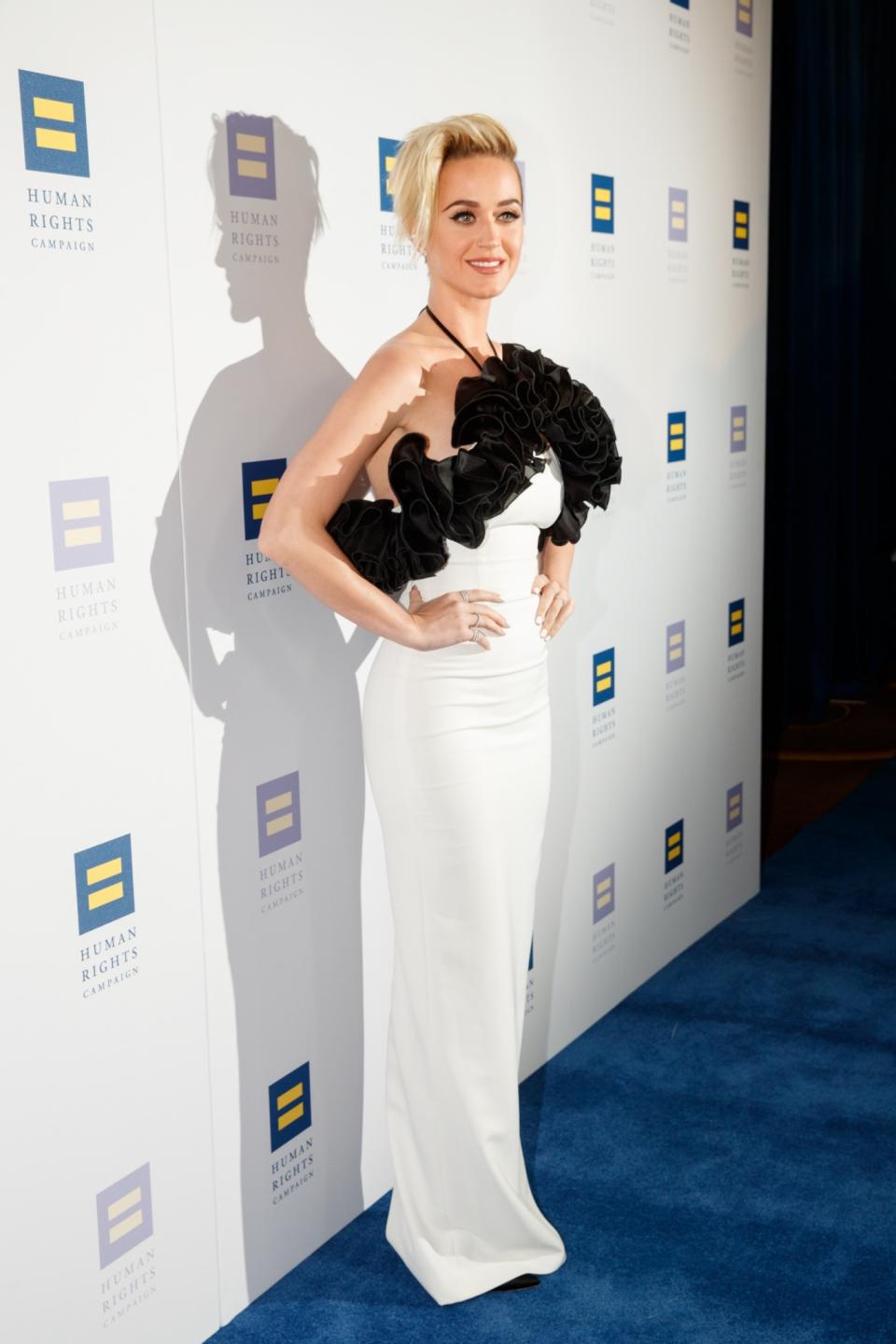 HIT: Katy Perry at The Human Rights Campaign Gala