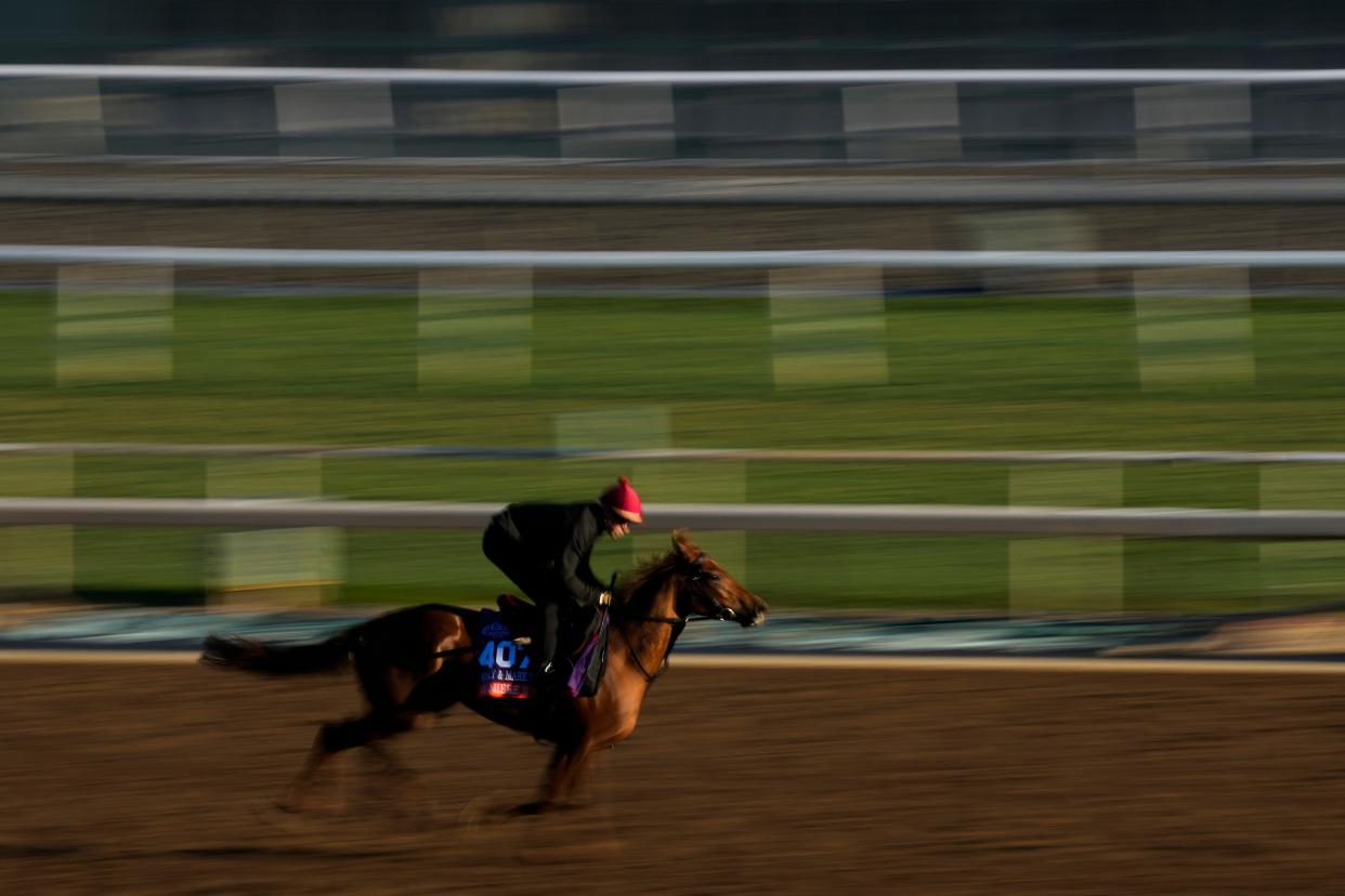 Lumiere Rock runs during a morning workout ahead of the Breeders' Cup horse races Thursday, Nov. 2, 2023, in Arcadia, Calif. (AP Photo/Ashley Landis)