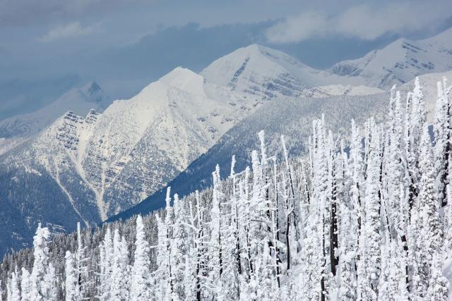 27 Photos That'll Make Winter Your Favorite Season