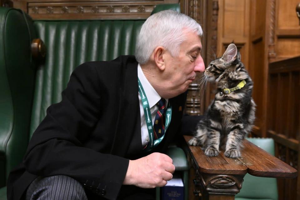 Sir Lindsay Hoyle has named his new kitten after Clement Attlee (Jessica Taylor/UK Parliament)