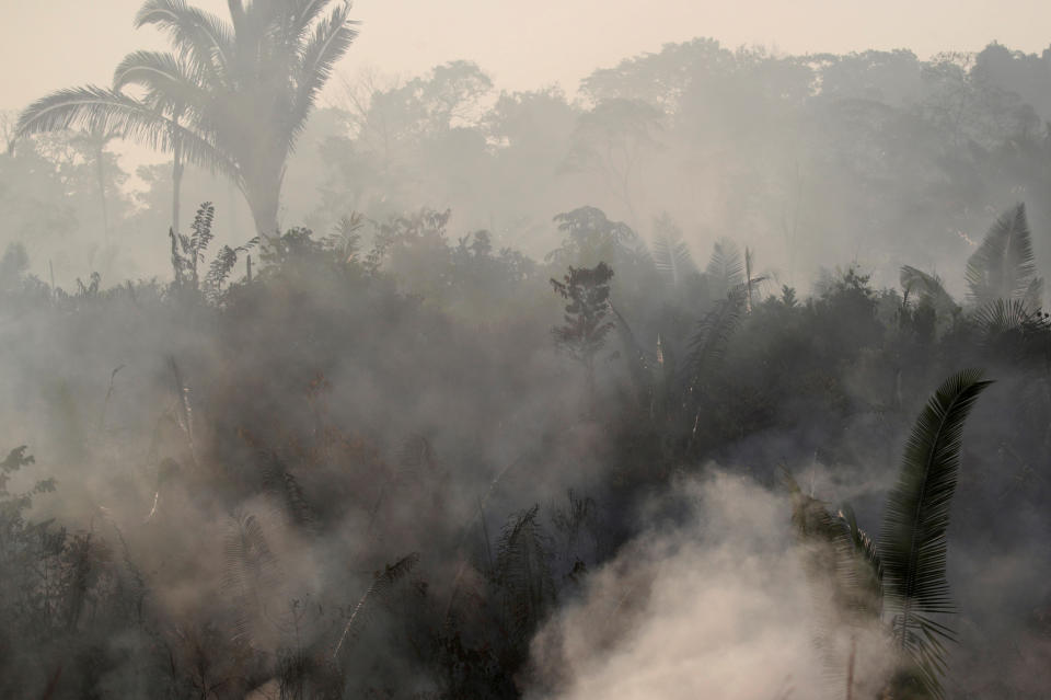 Smoke billows among trees during a fire in an area of the Amazon rainforest near Humaita, Amazonas State, Brazil, Brazil August 14, 2019. Picture Taken August 14, 2019. REUTERS/Ueslei Marcelino