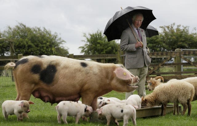 Charles will launch his Terra Carta later. Kirsty Wigglesworth/PA Wire