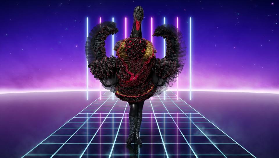 <p>Will this black swan swim through to the finals?</p>