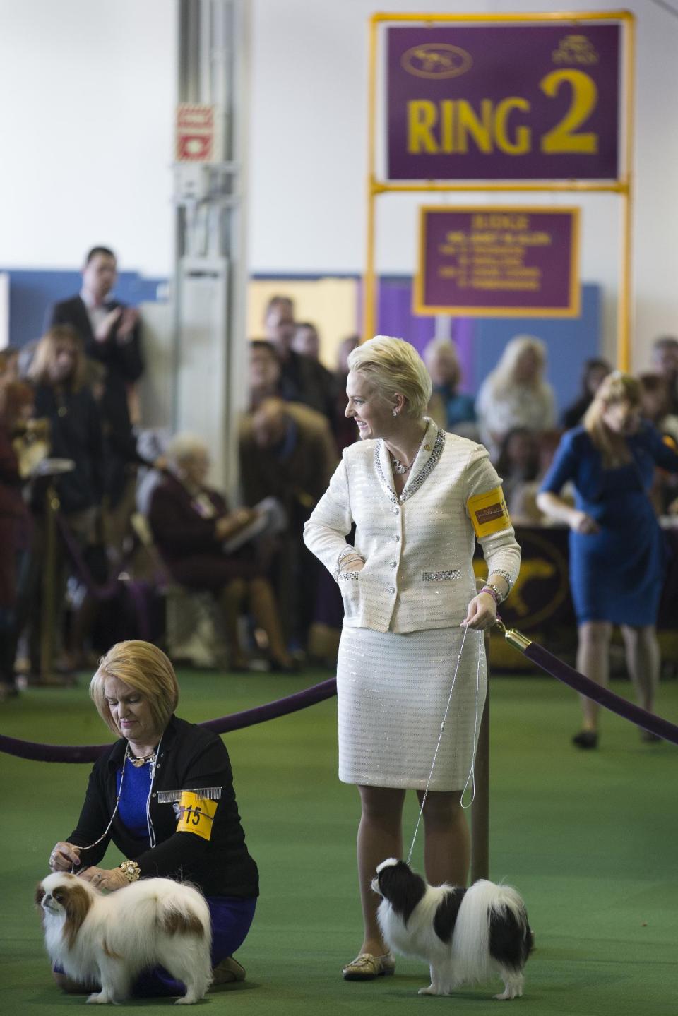 Handlers stand in the ring with their dogs during the Japanese Chin competition at the Westminster Kennel Club dog show, Monday, Feb. 10, 2014, in New York. While New York Fashion Week stakes out clothing’s cutting edge, a more toned-down style is getting its own showcase two miles away at the nation’s most prestigious dog event. (AP Photo/John Minchillo)