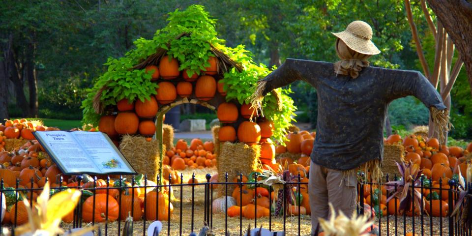 2014: Storybook Pumpkin Village