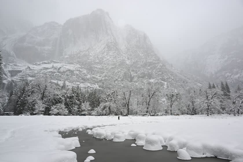 YOSEMITE, CA - FEBRUARY 23: Snow blankets Yosemite National Park in California, United States on February 23, 2023 as winter storm alerted in California. (Photo by Tayfun Coskun/Anadolu Agency via Getty Images)