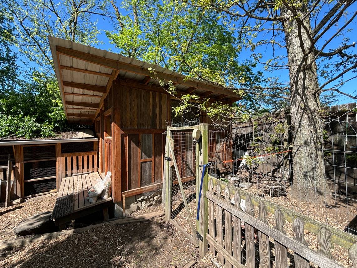 Travis Robinson’s backyard chicken coop and run, seen April 22, 2024, is at the back of his property, away from neighboring homes.