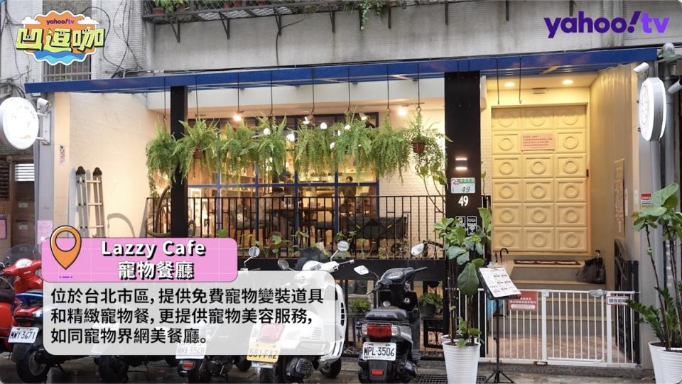 Lazzy Cafe 寵物餐廳位於交通方便的台北市區，提供餐食和美容等複合式服務。
