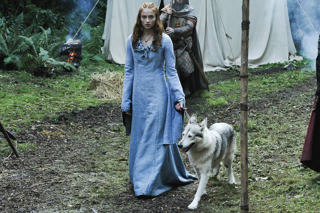 <p>Heidi Sloan/HBO</p> Sophie Turner and direwolf Lady