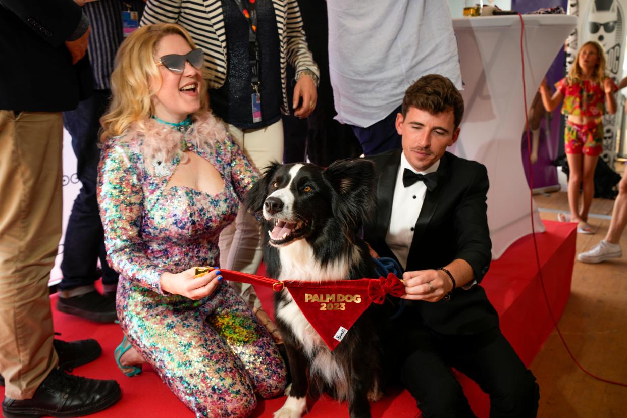 Stan, a border collie, accepts the Palm Dog award on behalf of Messi, the four-legged star of "Anatomy of a Fall."
