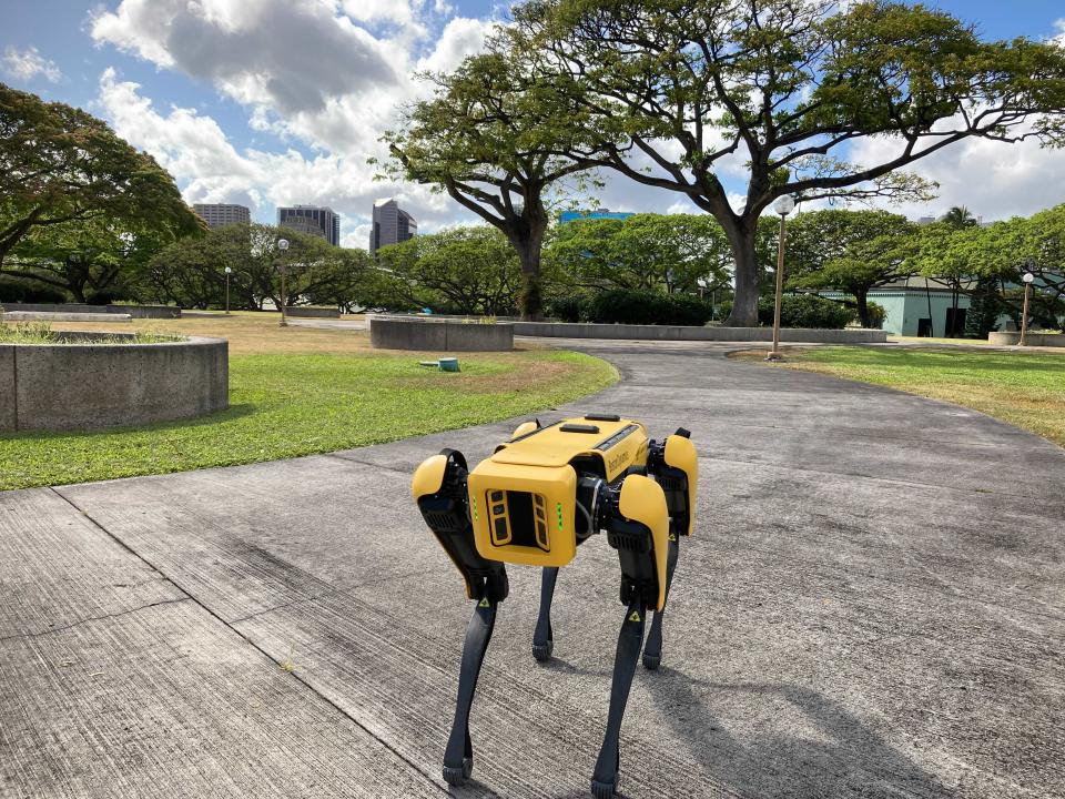 A robotic dog called Spot trots during a Honolulu Police Department demonstration to reporters Friday May 14, 2021. Police officials experimenting with the four-legged machines say they’re just another tool, like drones or simpler wheeled robots, to keep emergency responders out of harm’s way. (AP Photo/Jennifer Sinco Kelleher)