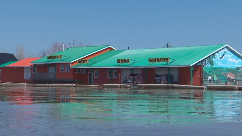 Animals back home as flood clean up continues for Maugerville farm, bakery