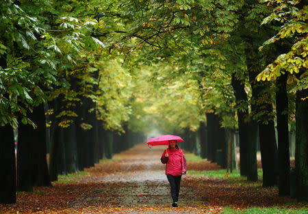 FILE PHOTO: A woman enjoys a walk along an avenue of trees at Prater recreation area on a rainy autumn day in Vienna, Austria, October 16, 2015. REUTERS/Heinz-Peter Bader/File Photo