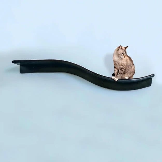 A tabby cat sits on the stylish, curved cat perch in espresso mounted on the wall