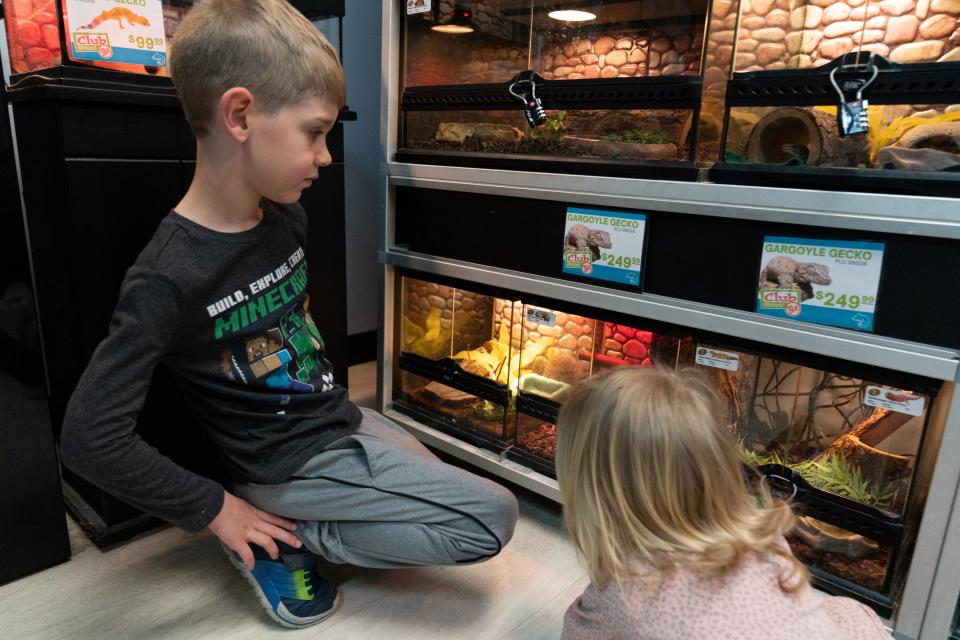 Seven-year-old Brody Seel, left, looks at gargoyle geckos with his 1-year-old sister, Maliyah Seel, at Petland on Friday morning. Before purchasing an exotic pet, residents of Topeka should know how the city regulates the various types of animals allowed.