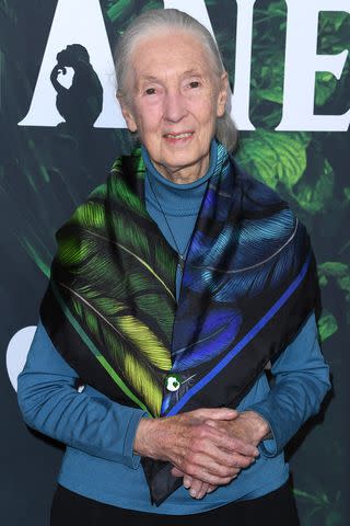 <p>Steve Granitz/FilmMagic</p> Jane Goodall in Los Angeles in April 2023