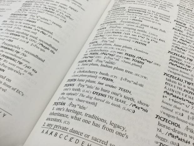 A new SENĆOŦEN dictionary was published in 2018 after decades of work to preserve and translate the Coast Salish language. (Liz McArthur - image credit)