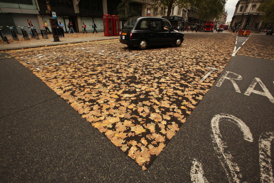 Autumn Leaves Trapped In Road Surface Following Late Summer Heatwave