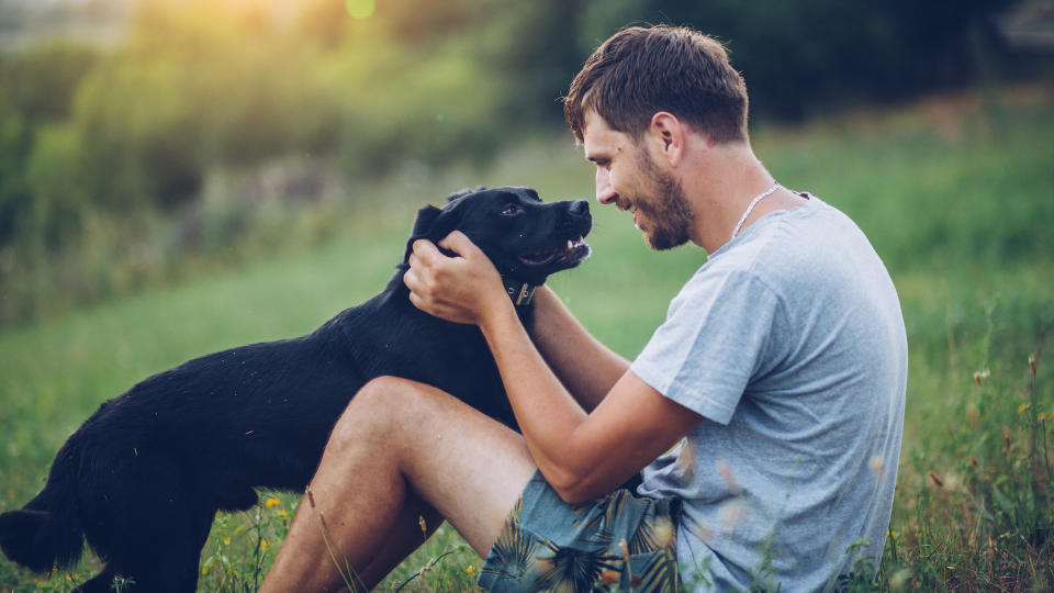 Man loving black lab dog