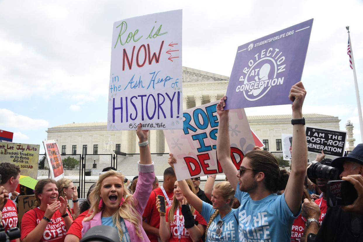 A crowd of anti-abortion advocates hold up signs saying: Roe is dead.