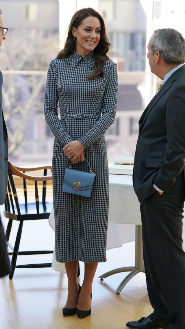 Kate Middleton's most polished and professional look yet? Princess wears houndstooth  dress to talk to Harvard experts about early childhood