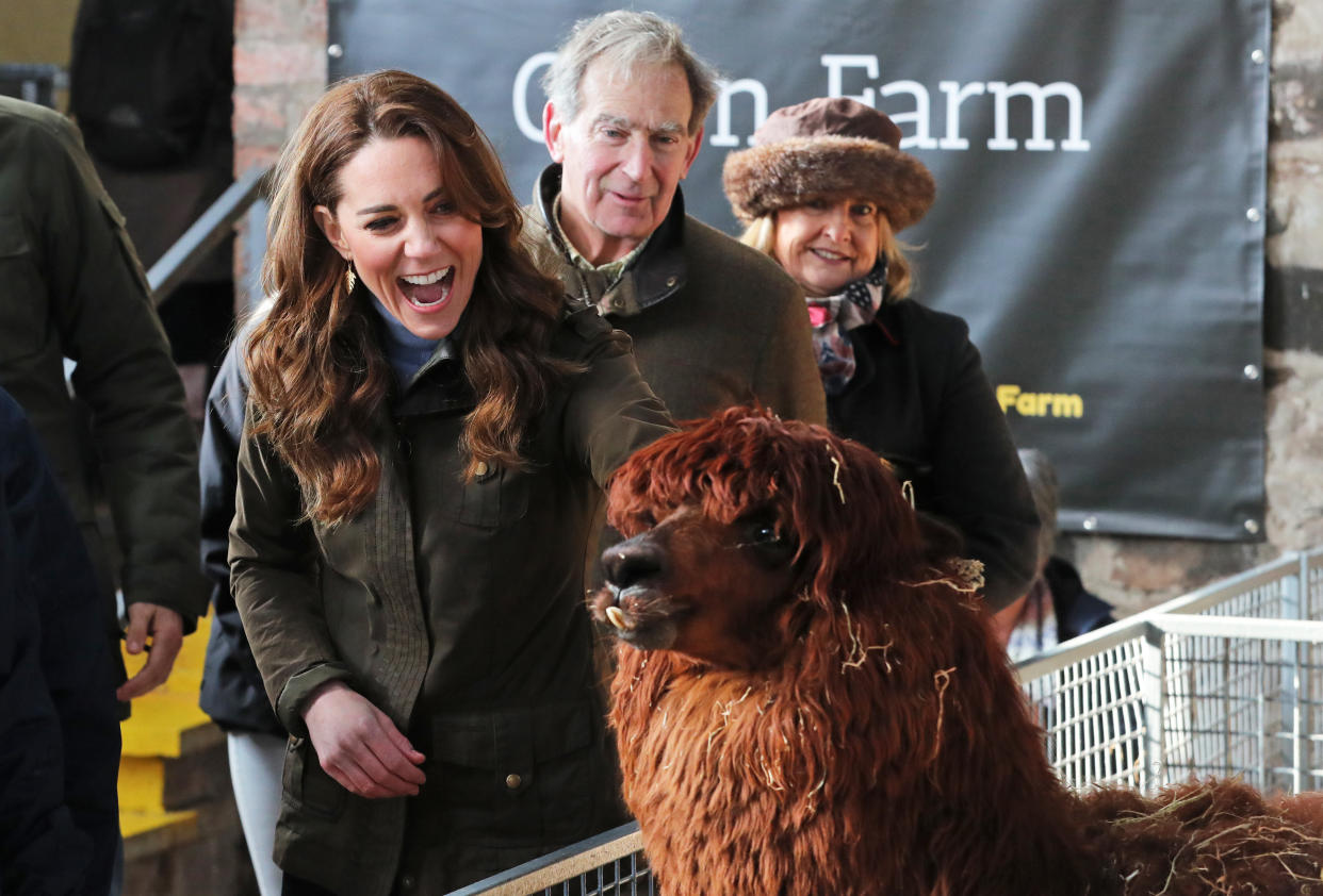 Duchess of Cambridge and an alpaca