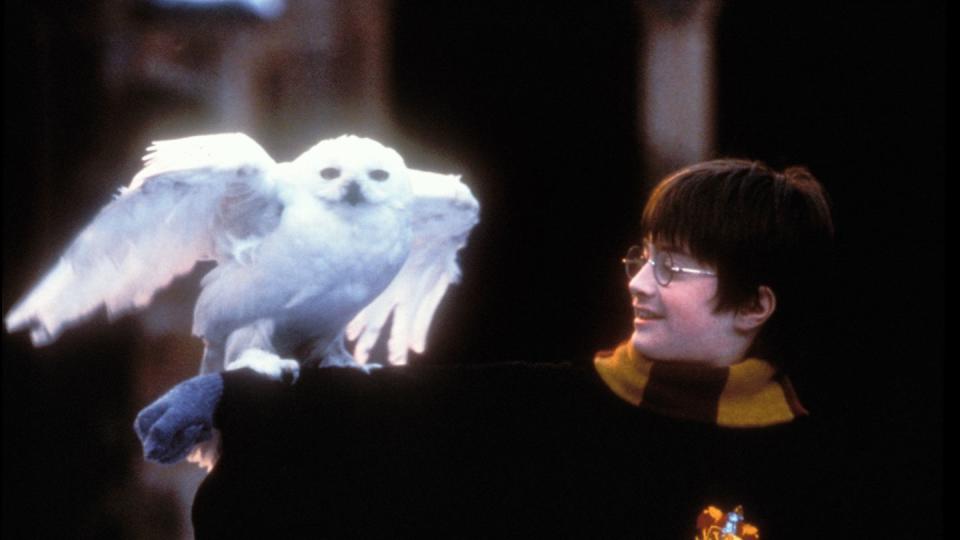 harry potter and the sorcerer's stone movie stills