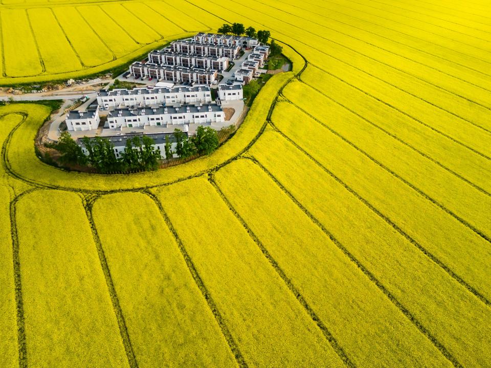 An aerial shot of a yellow field