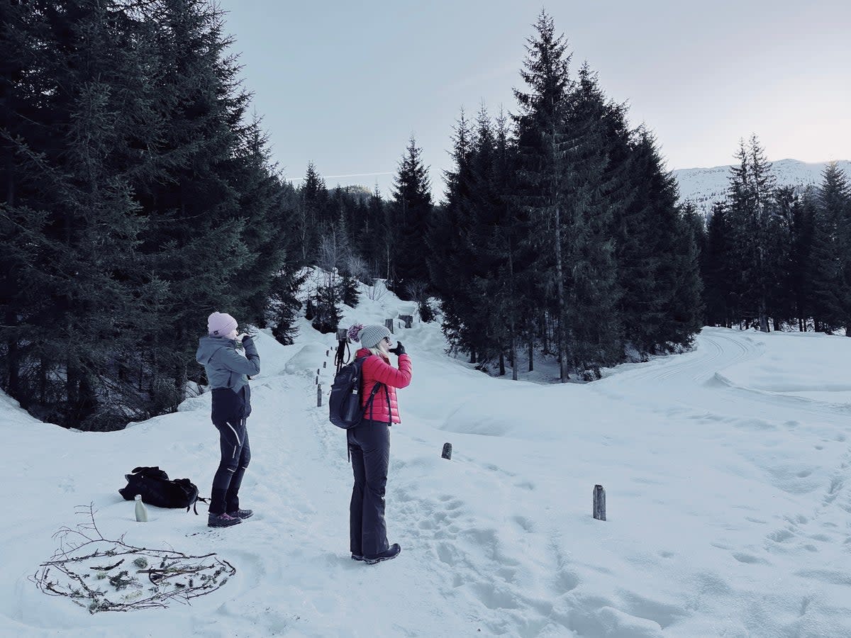 Forest bathing on a woodsy mountain walk above Bad Gastein (Adam Batterbee)